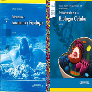 COMBO ANATOMÍA TOTAL 1 MES