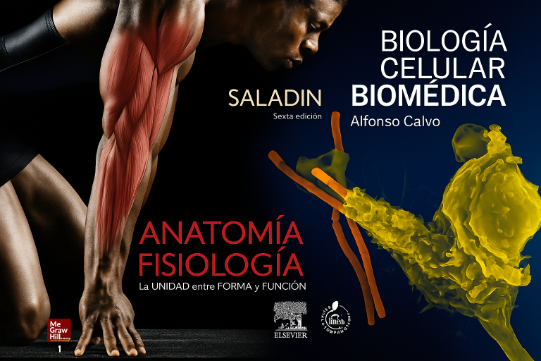 CONTENIDO PARA EL EXAFEN FINAL Morfofunción – Biología Celular. SALADIN – CALVO.